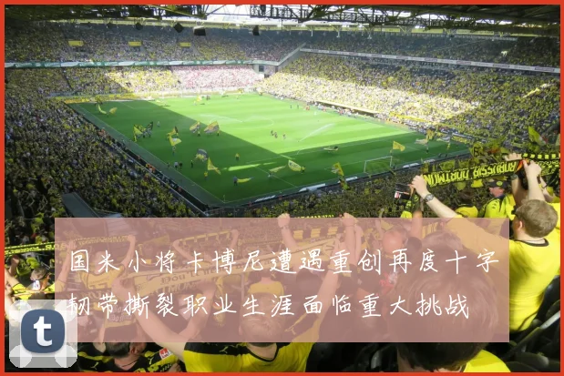 国米小将卡博尼遭遇重创再度十字韧带撕裂职业生涯面临重大挑战