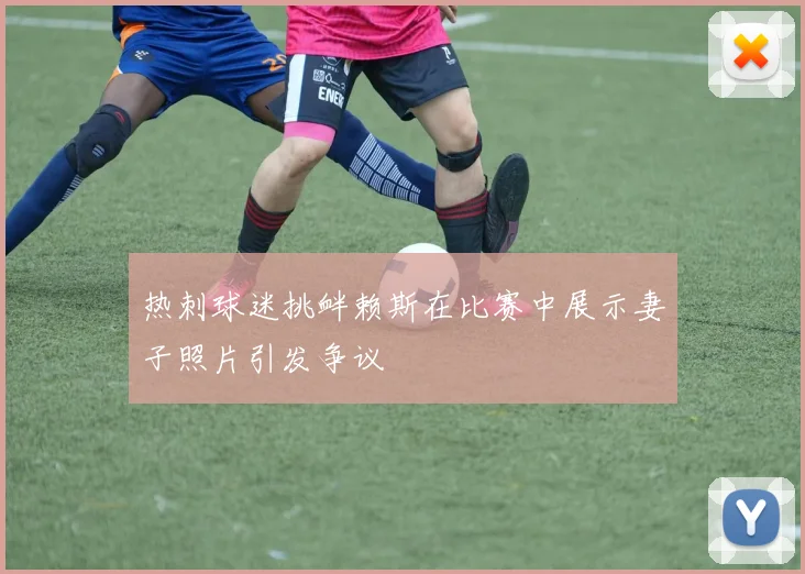 热刺球迷挑衅赖斯在比赛中展示妻子照片引发争议